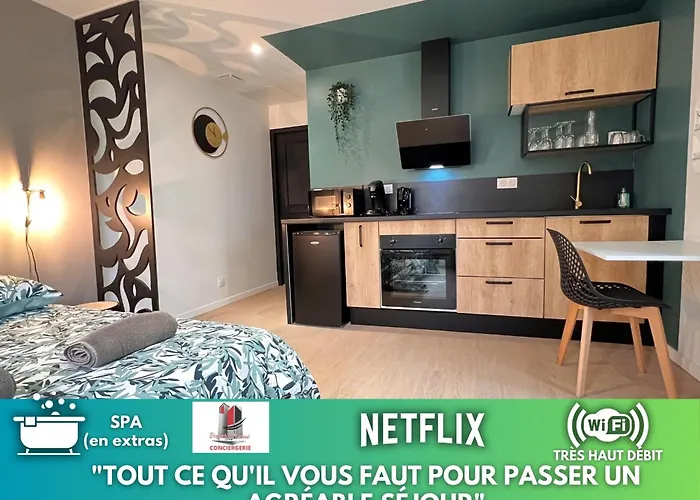 La Feuilleraie N2-Standingappart-Wifi-Proche Ville