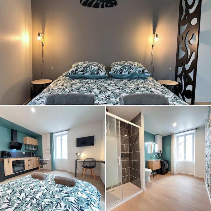 La Feuilleraie N2-standingappart-wifi-proche Apartment Fontenay-le-Comte